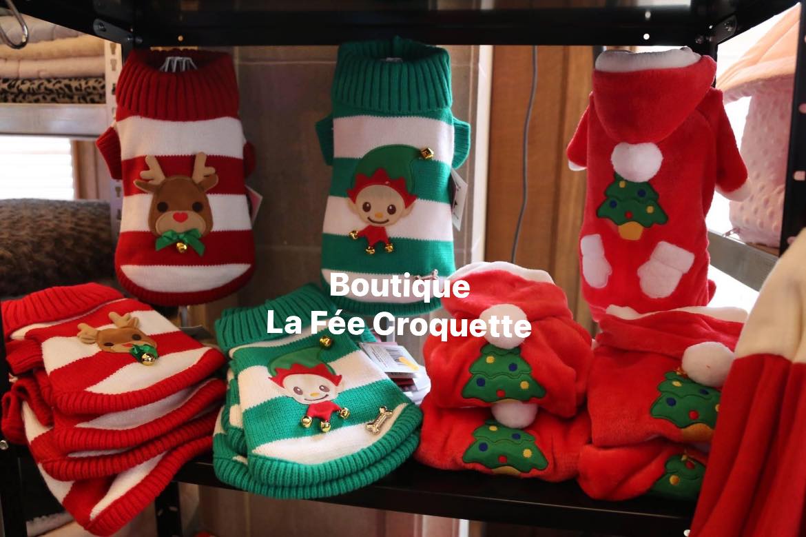 314381261 458794259691143 8804980312825292434 n