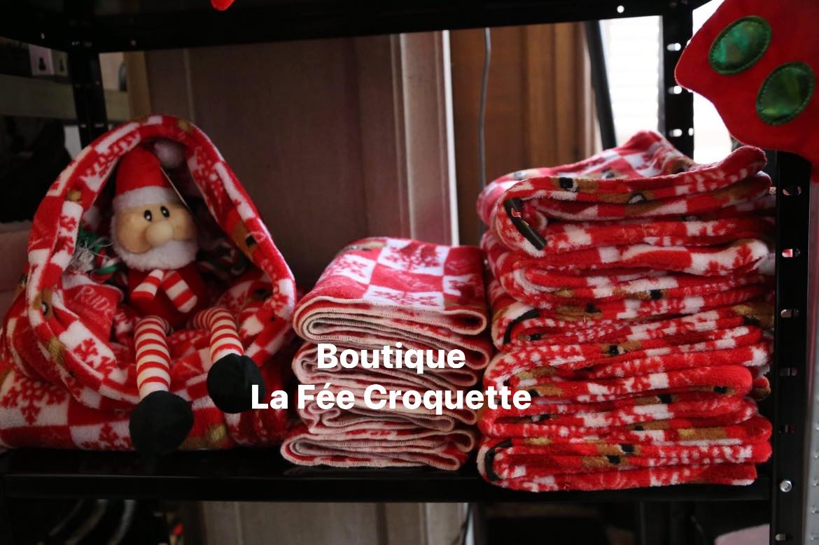 313435259 458793543024548 6432198617511773285 n