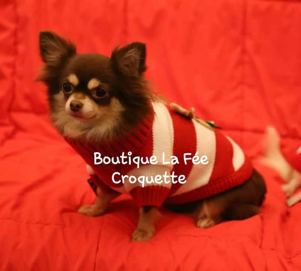 265805338 239065884978536 2826843729192419095 n