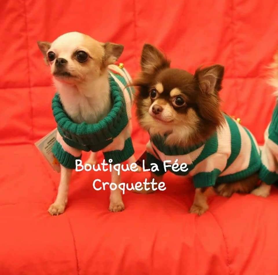 266259713 239066008311857 7663921798905020830 n