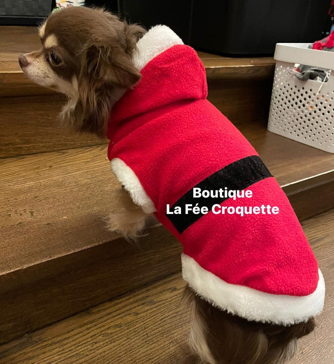 265217218 239068644978260 5403790603899363783 n