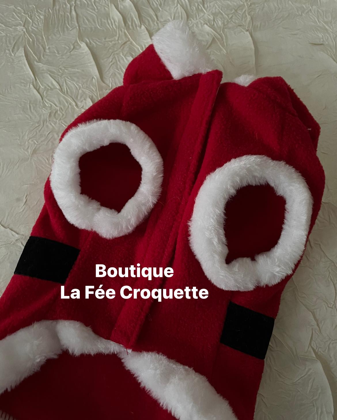 260600480 230588122492979 8255515567368542215 n