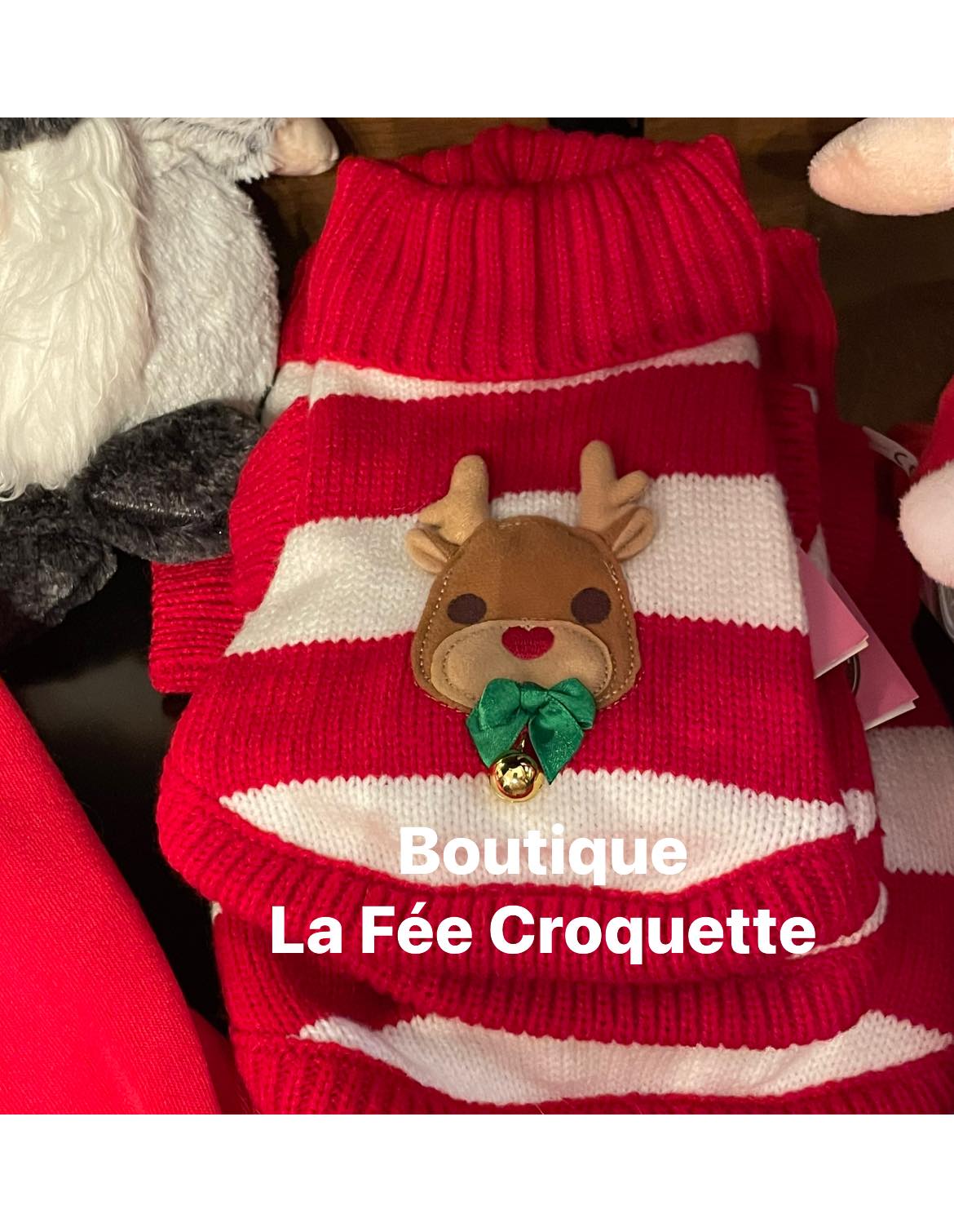 265443455 239056398312818 8368011720592883260 n