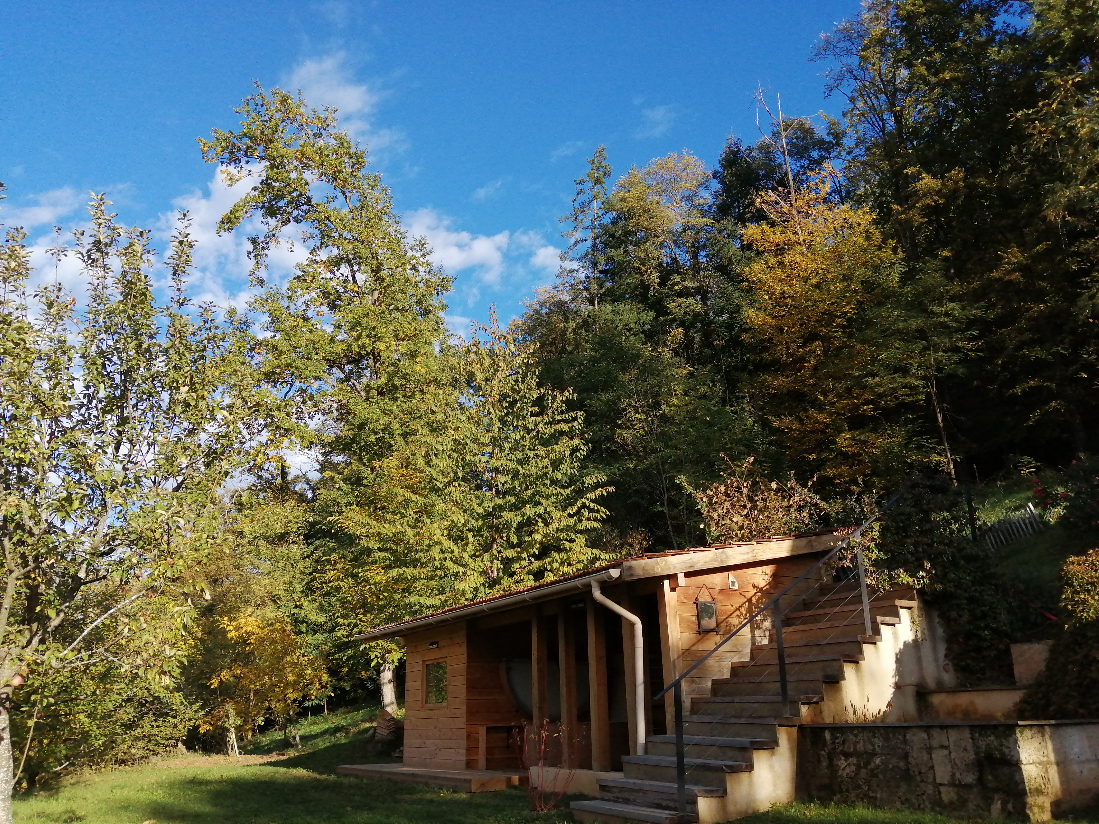 Img 20221113 150059