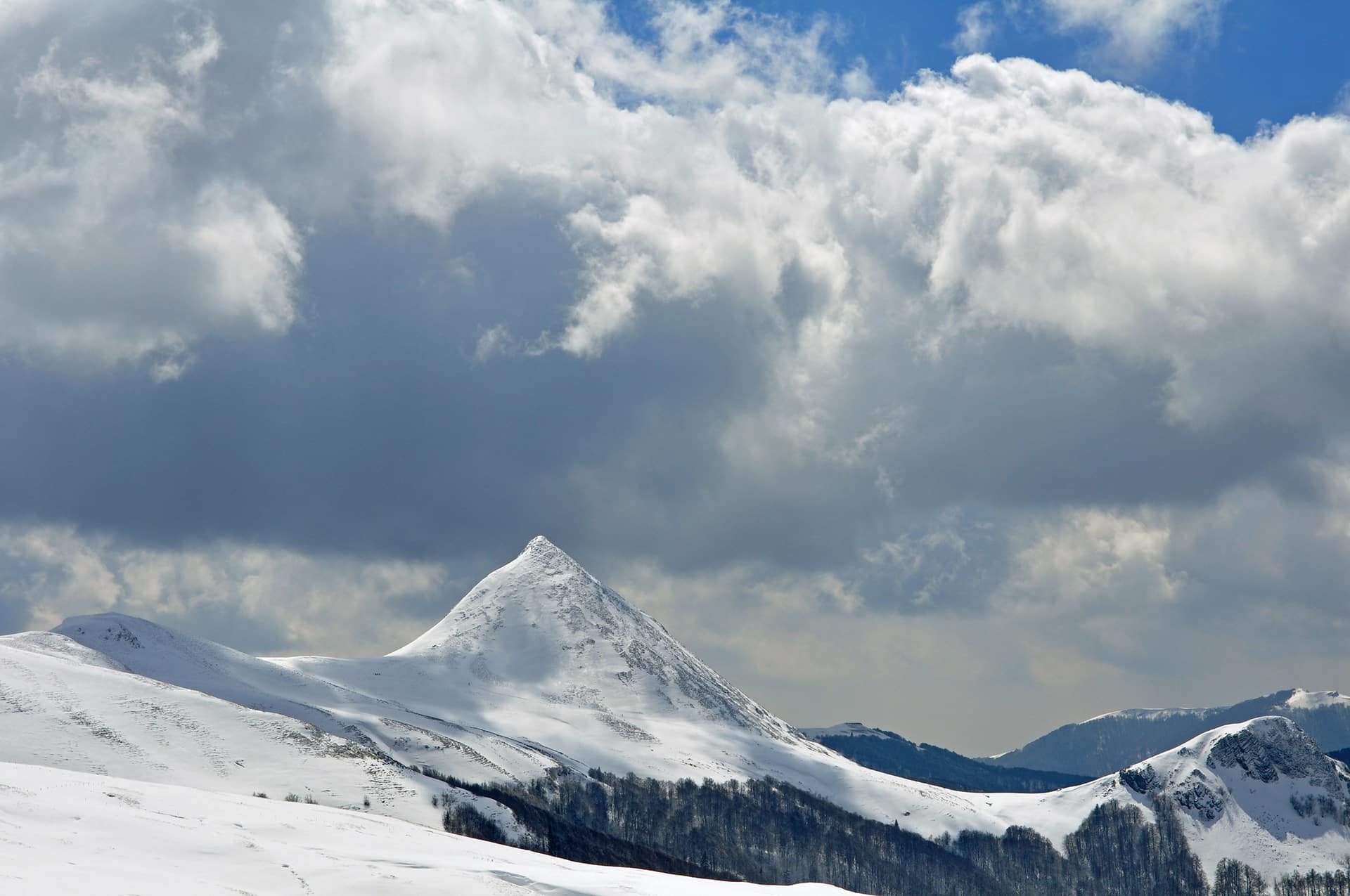 Griou en hiver