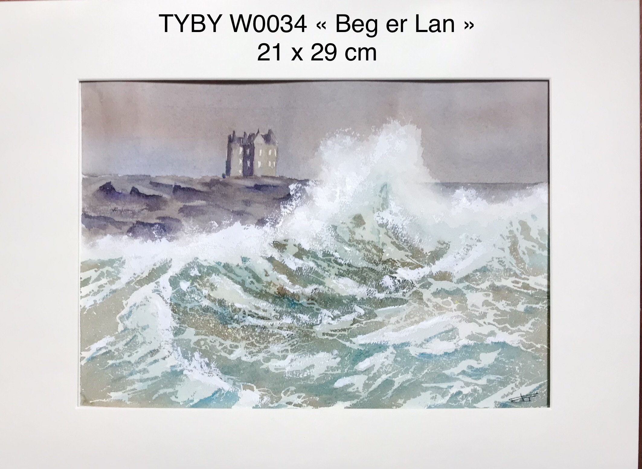 Tyby w0034
