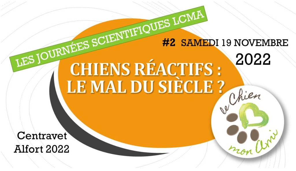 Les chiens réactifs : Le mal du siècle ? 