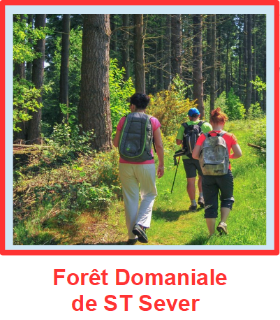 Foret-st-sever