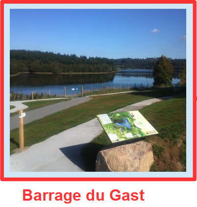 Barrage-gast