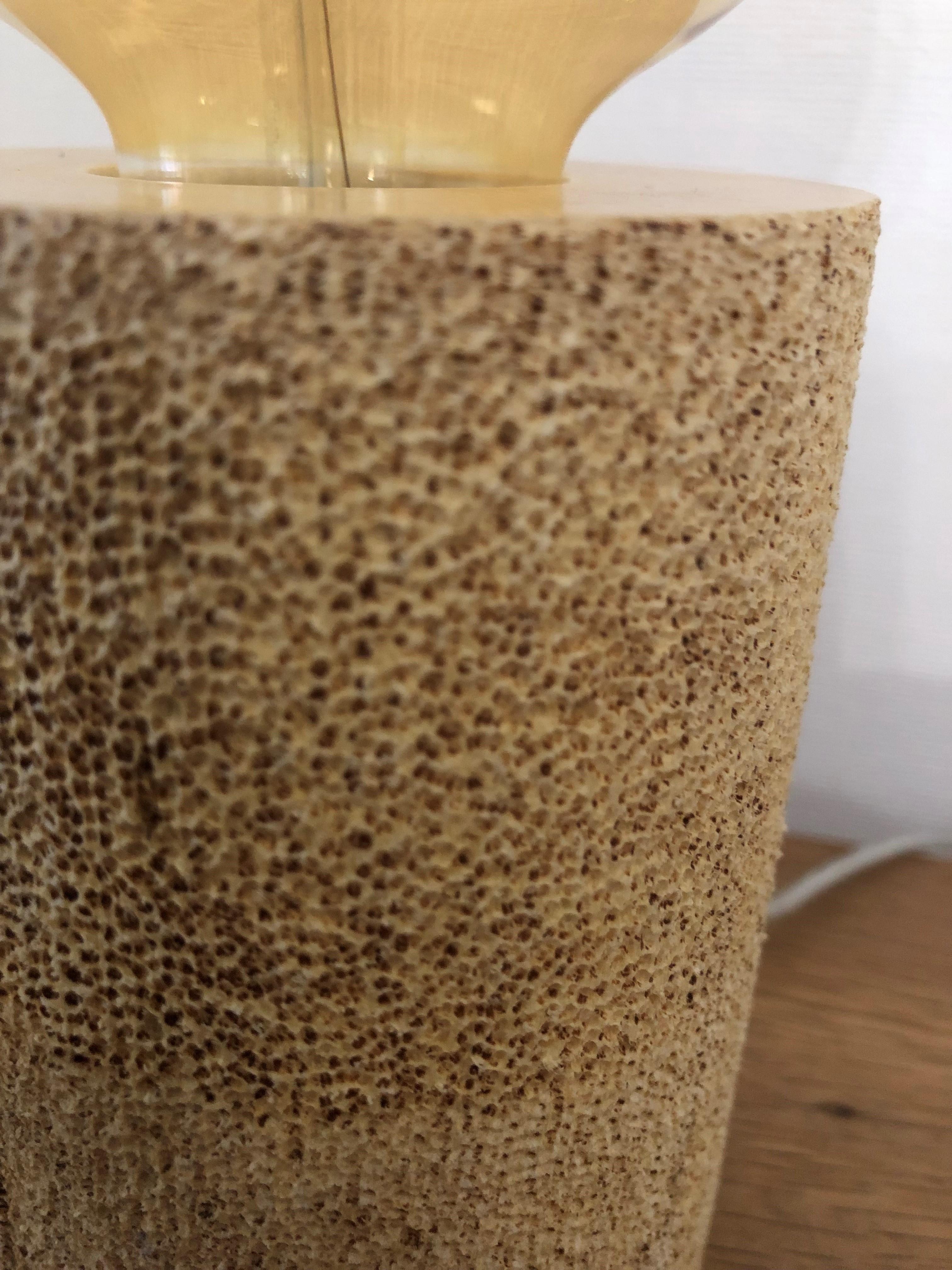 Petite lampe micocoulier 2