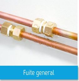 Fuite general