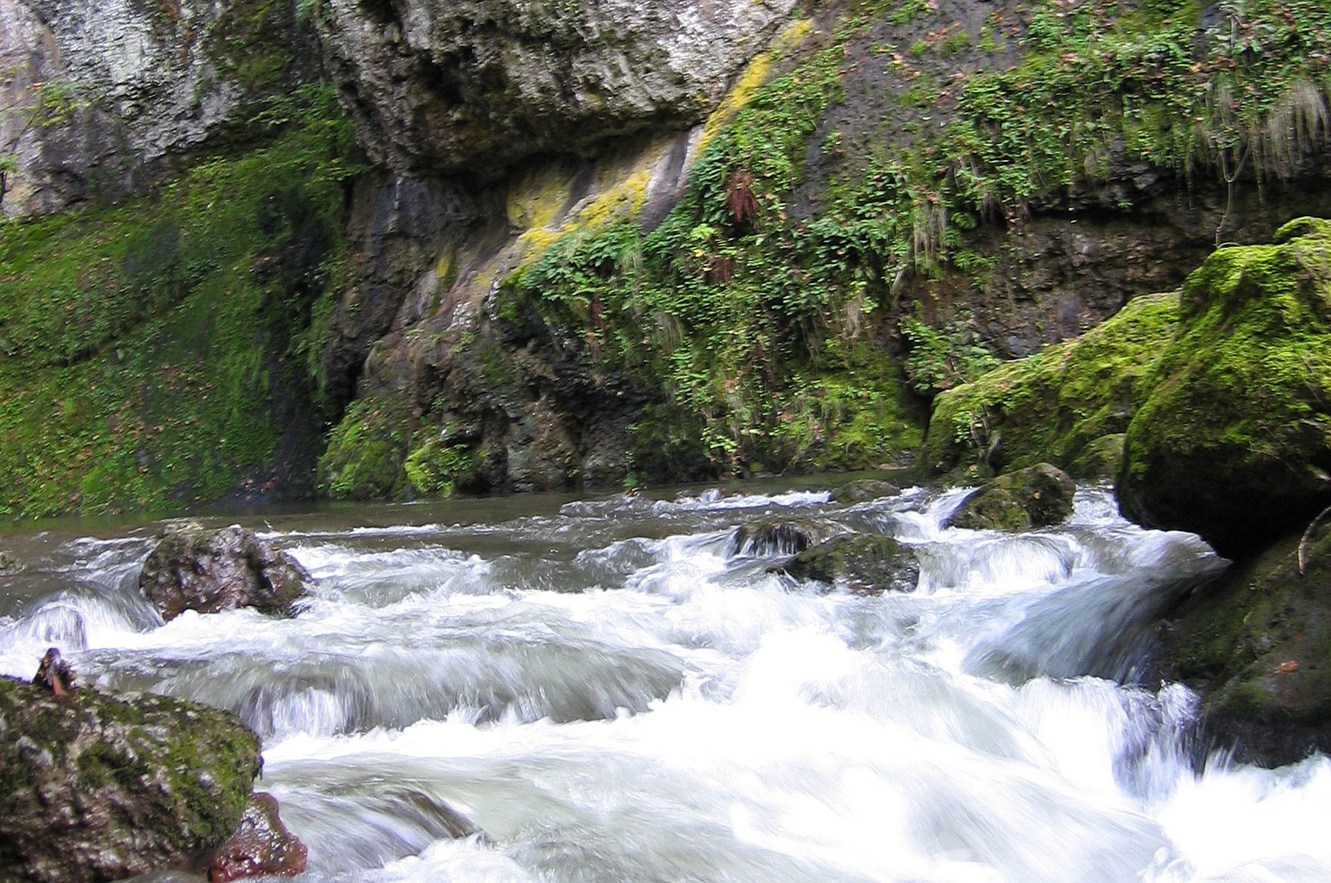Sentier découverte dans les gorges du Pas de Cère, Cantal