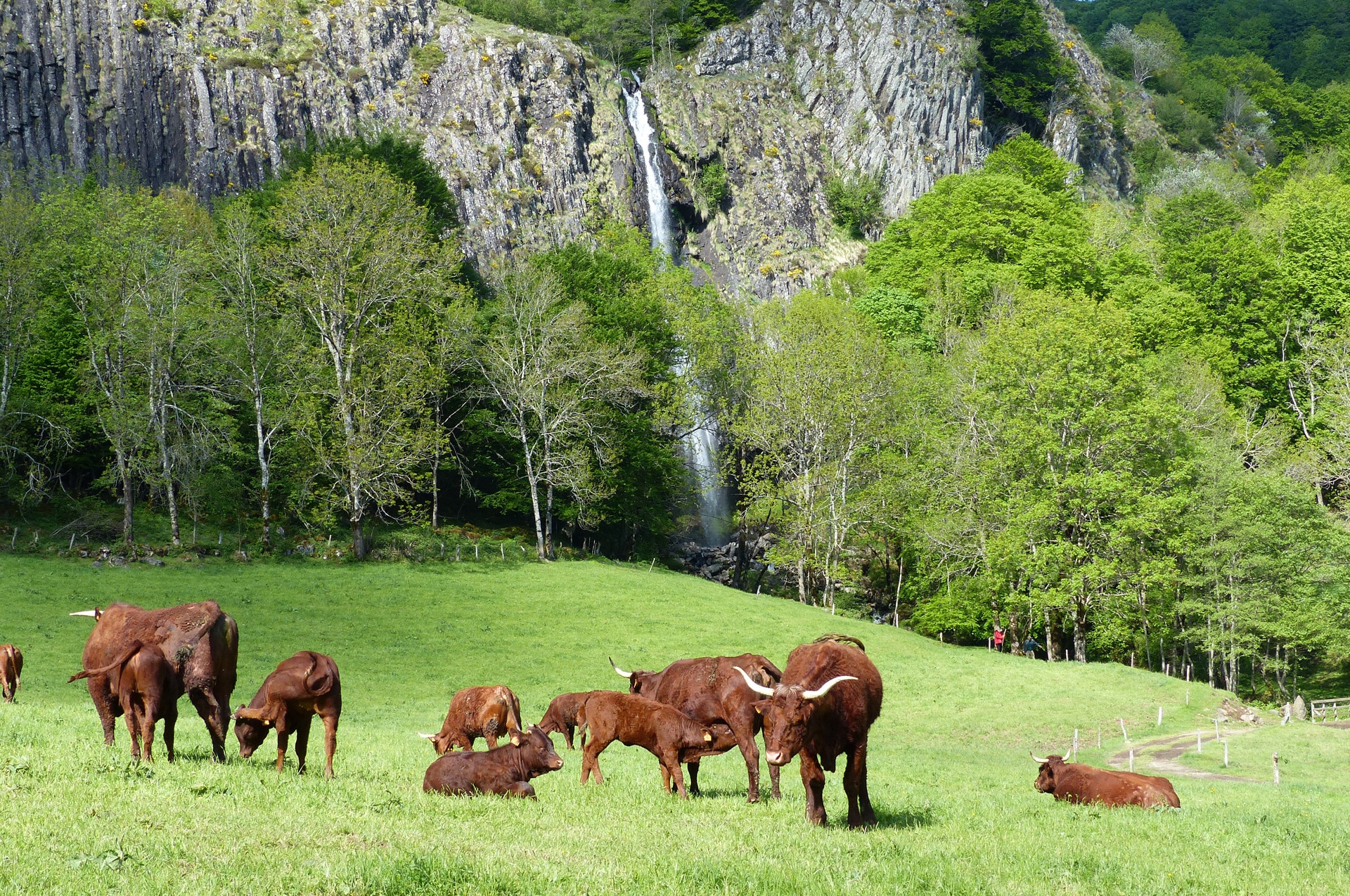 Cascade de Faillitoux sur la commune de Thiézac