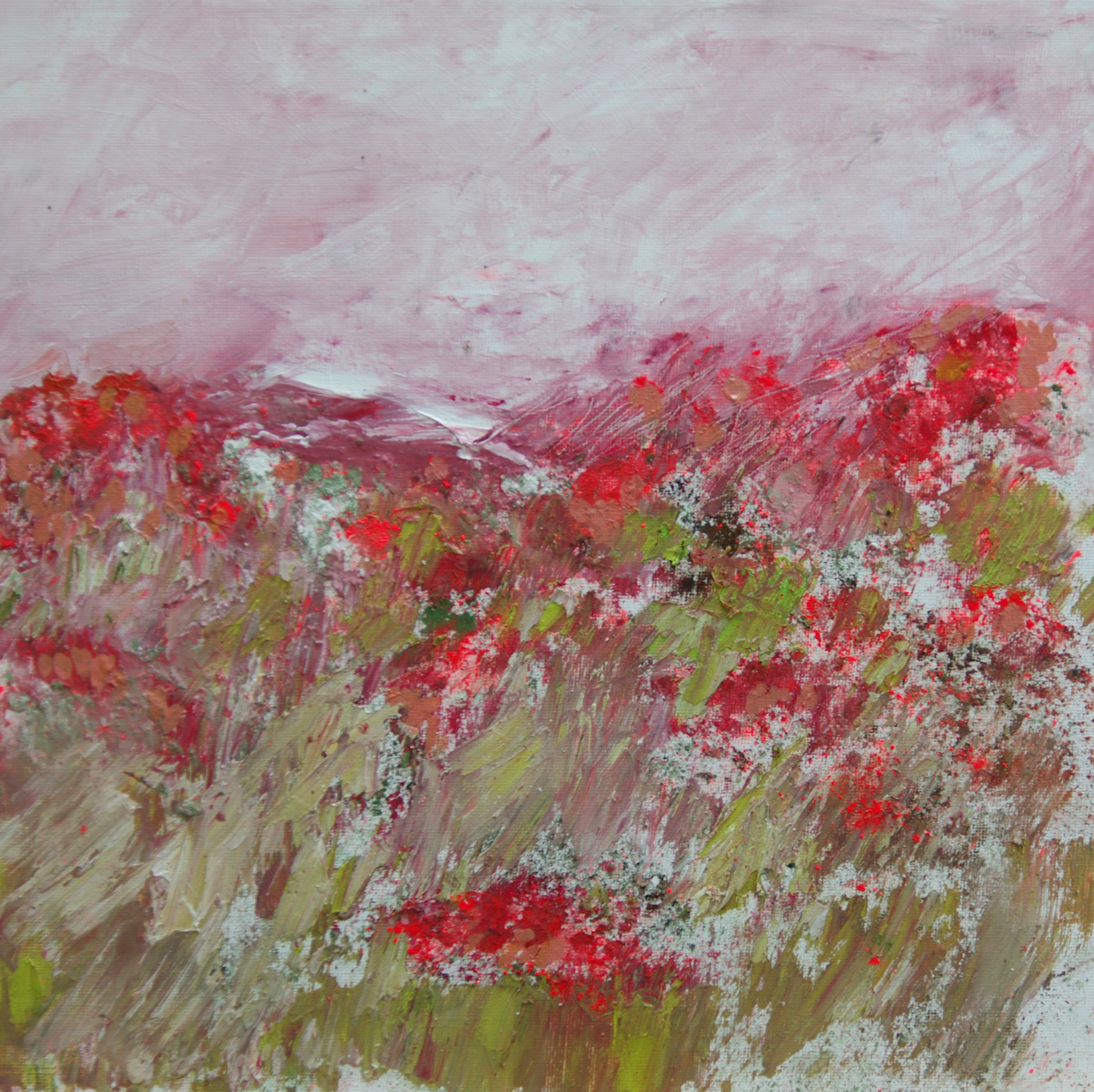 4 le champs de pavots 40x40