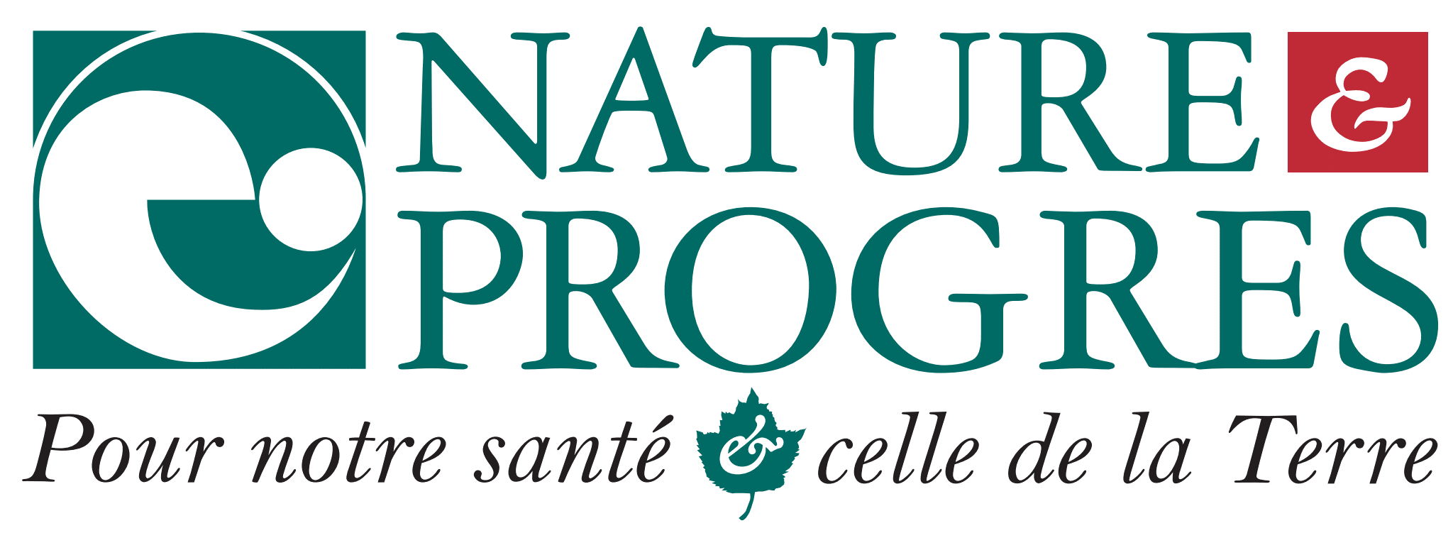 Logo-N-P