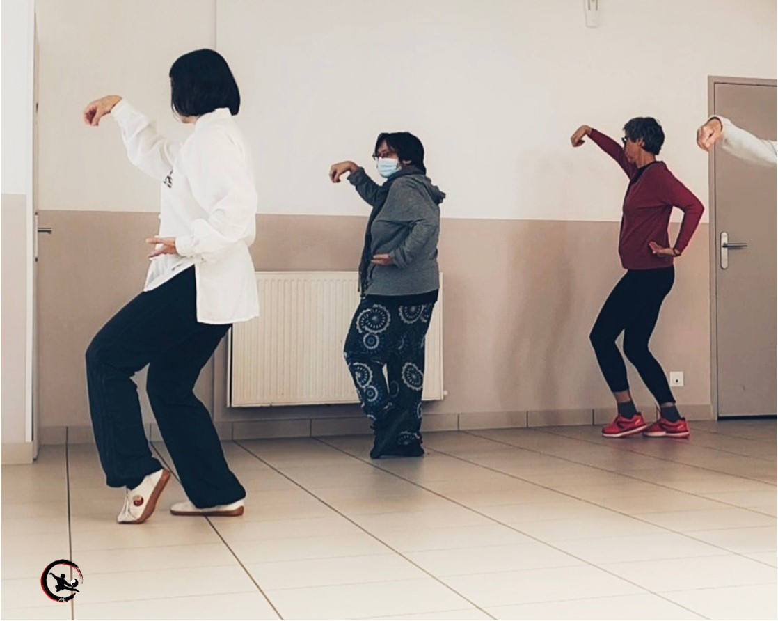 Art martial interne stage qi gong tai chi   novembre 2022 ame 4 