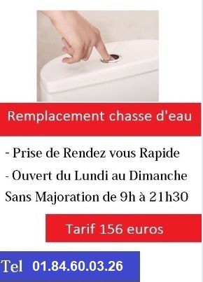 Remplacement-chasse-d-eau-tel