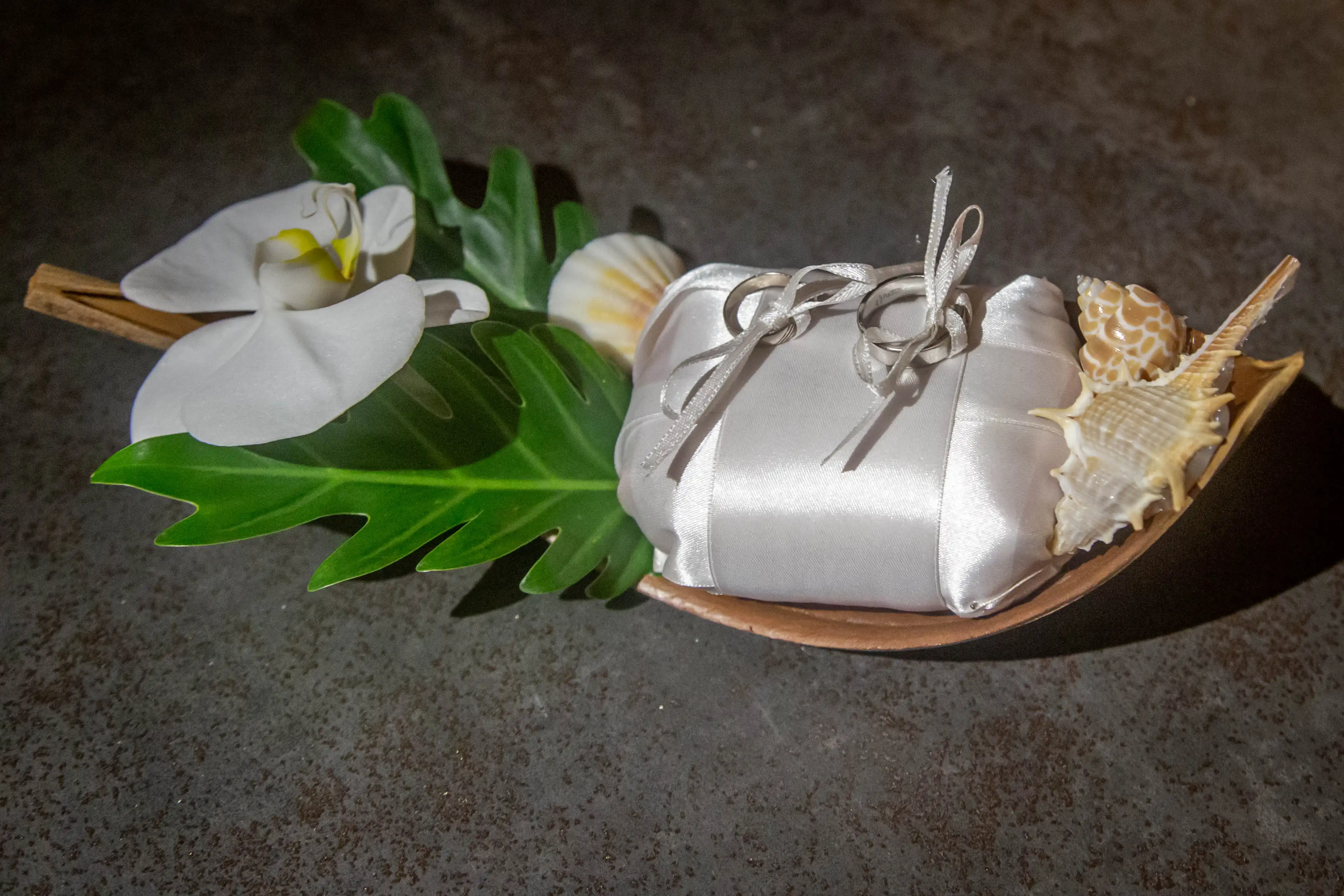 Sandrine design 2791
