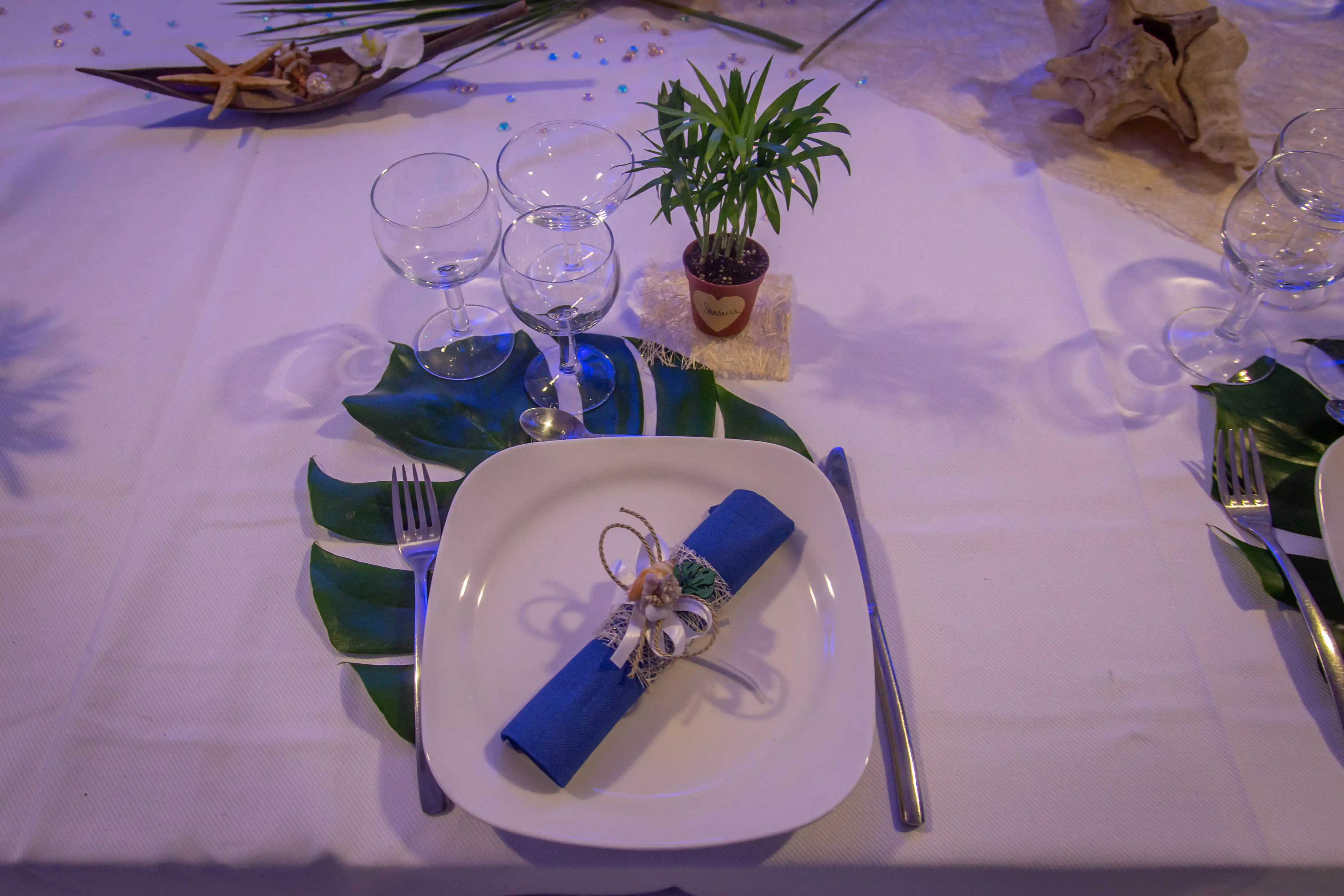 Sandrine design 2740