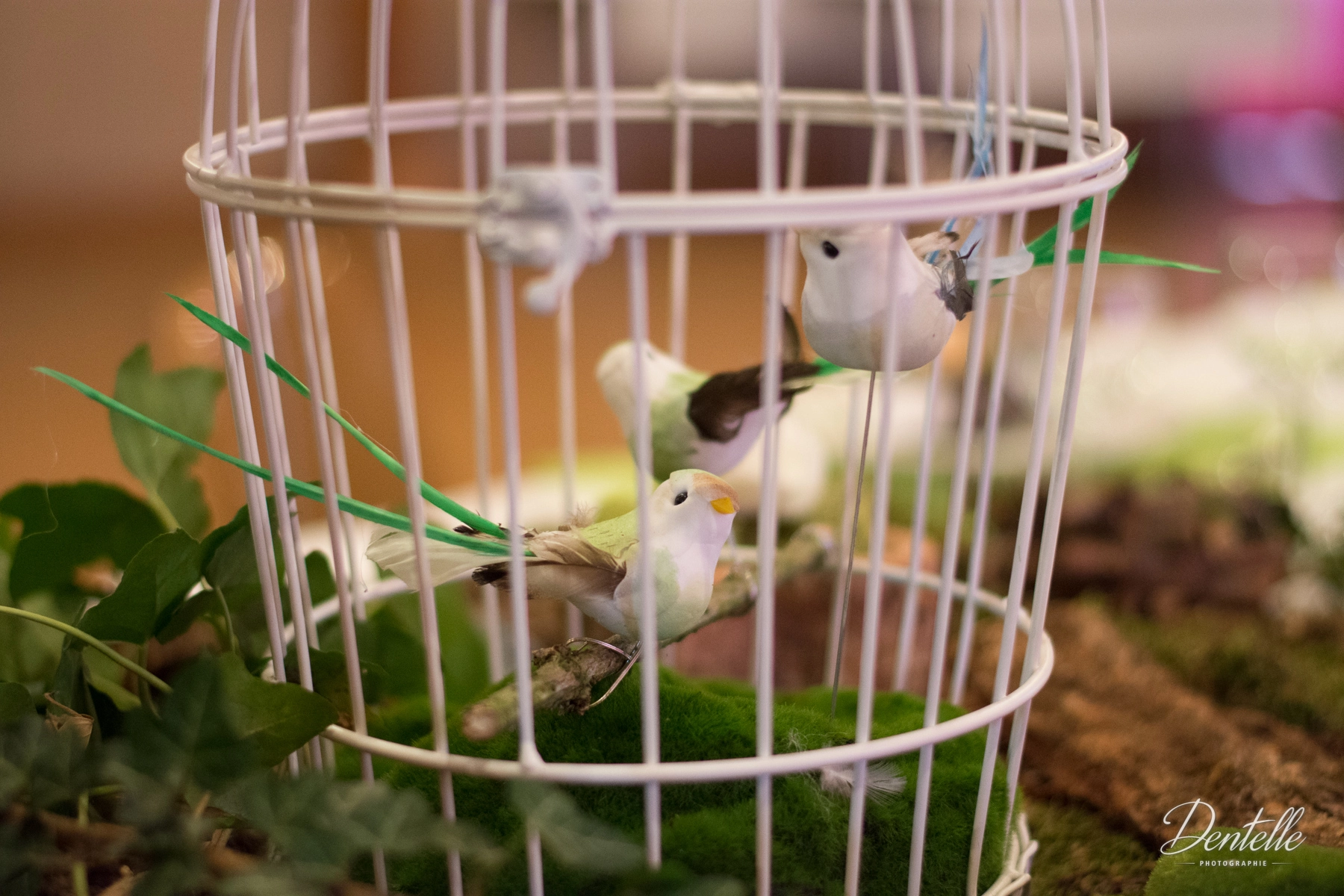 Cage 2