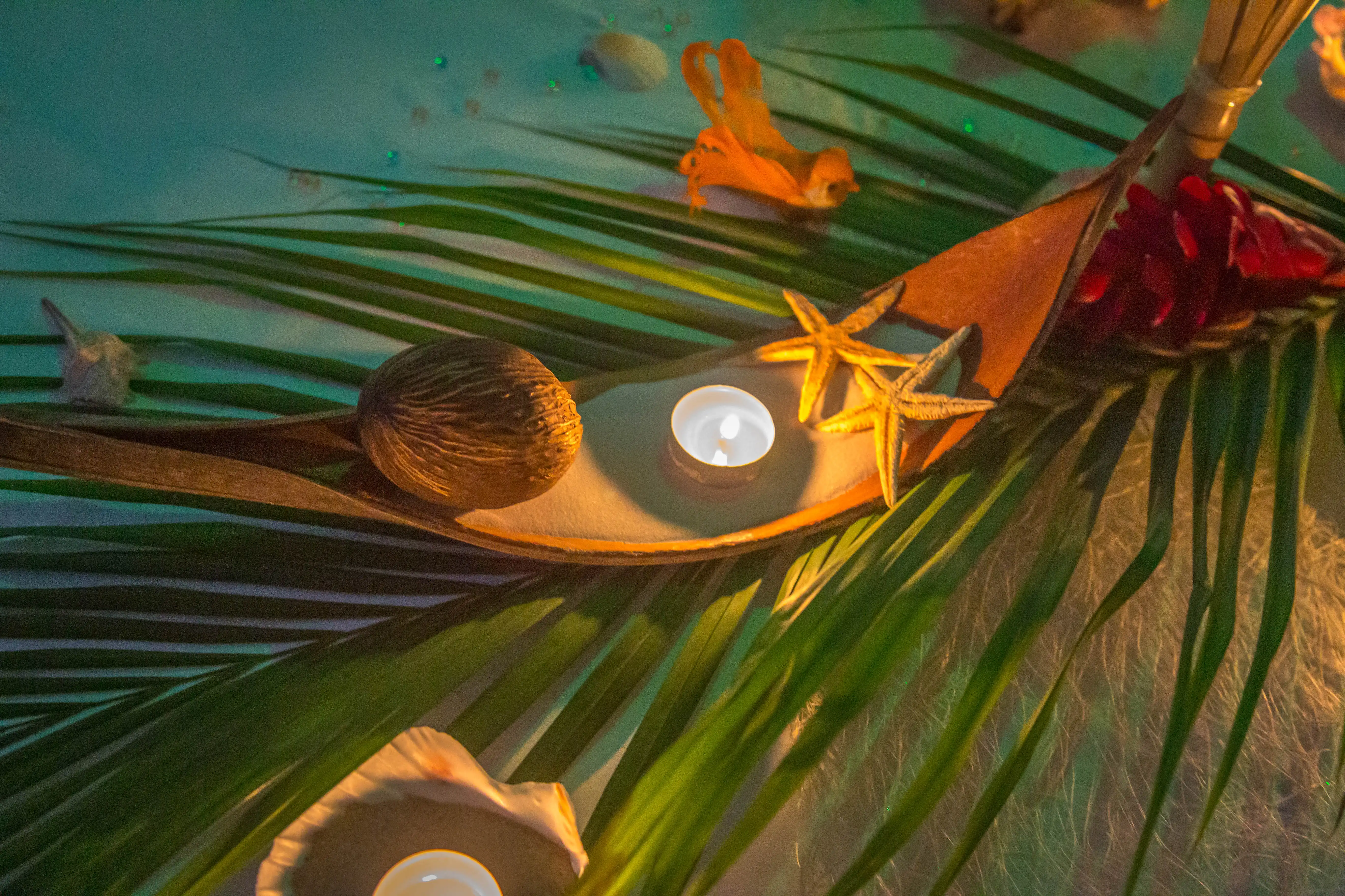 Sandrine design 6807