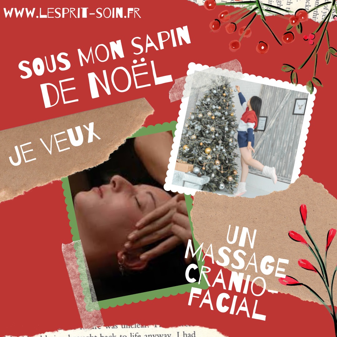 Noel cranio facial