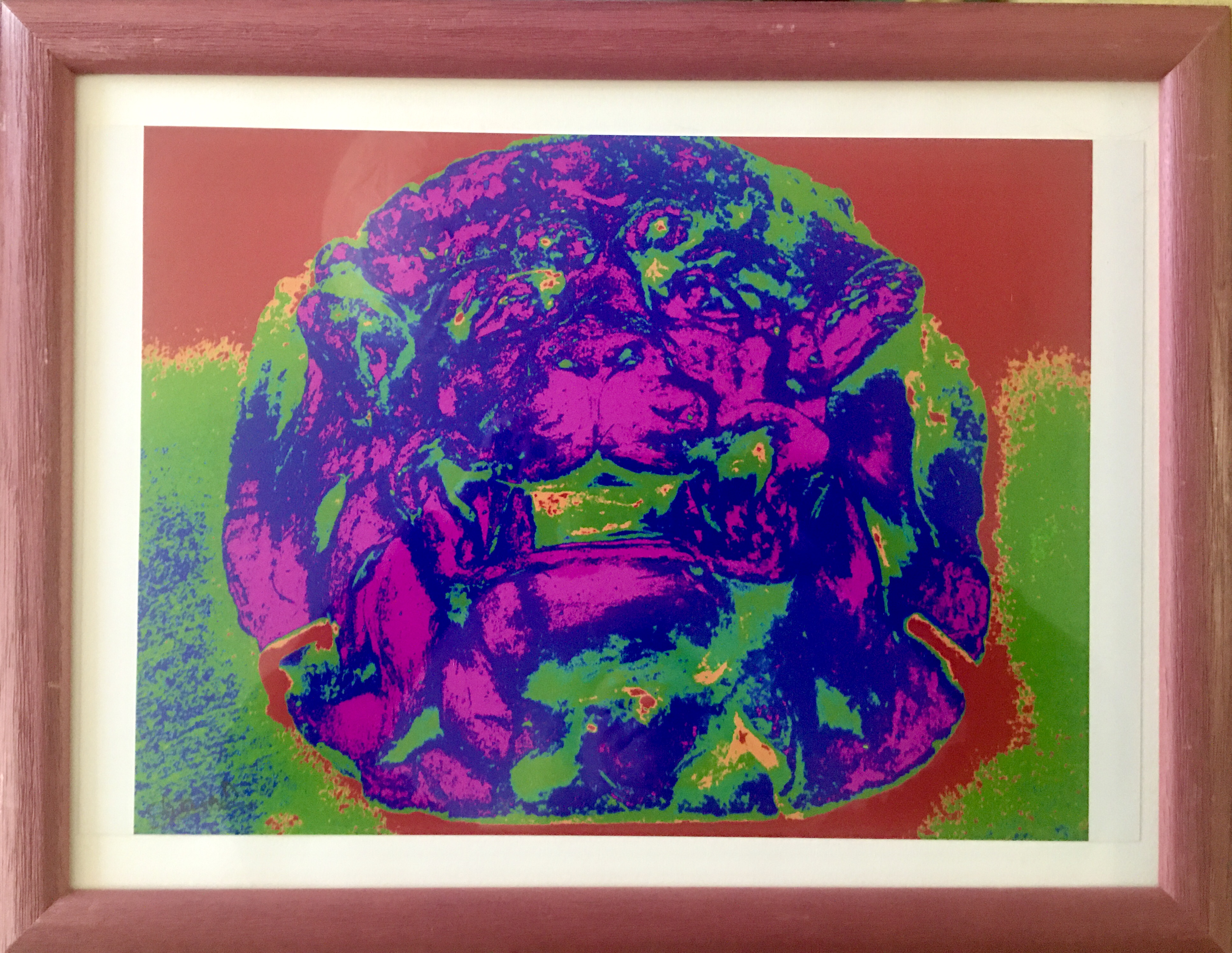 My psychedelic lion