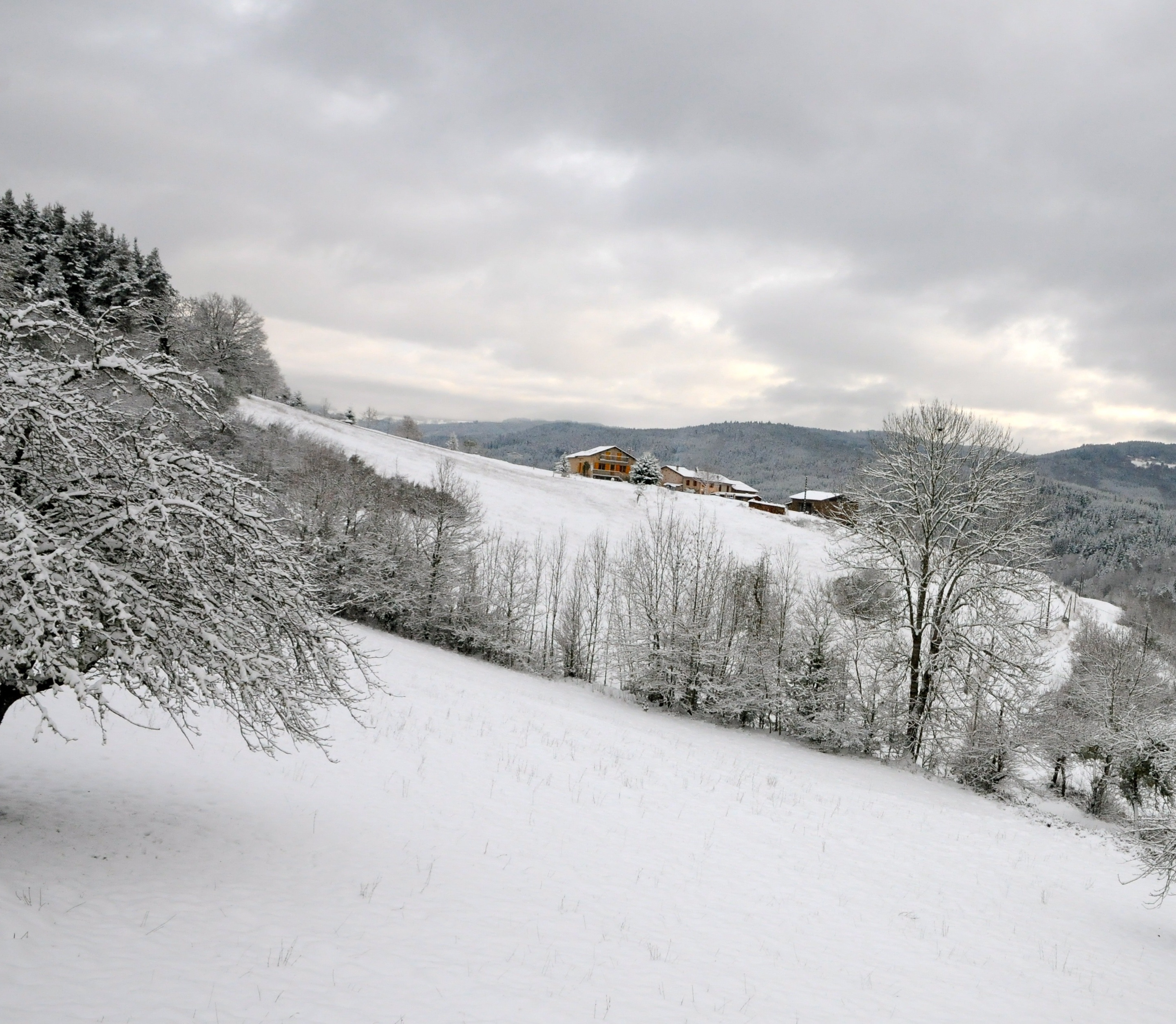 Le soleil hiver 