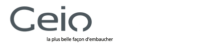 Logo-geiq-transport-et-logistique-d-auvergne-gris-et-blanc