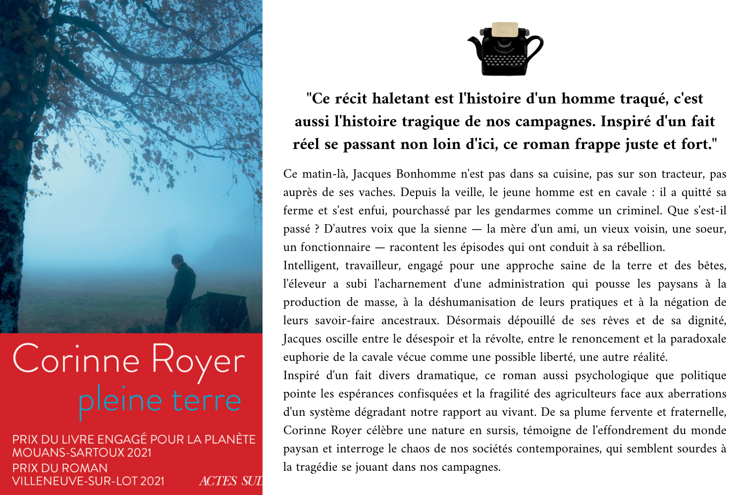 Pleine terre