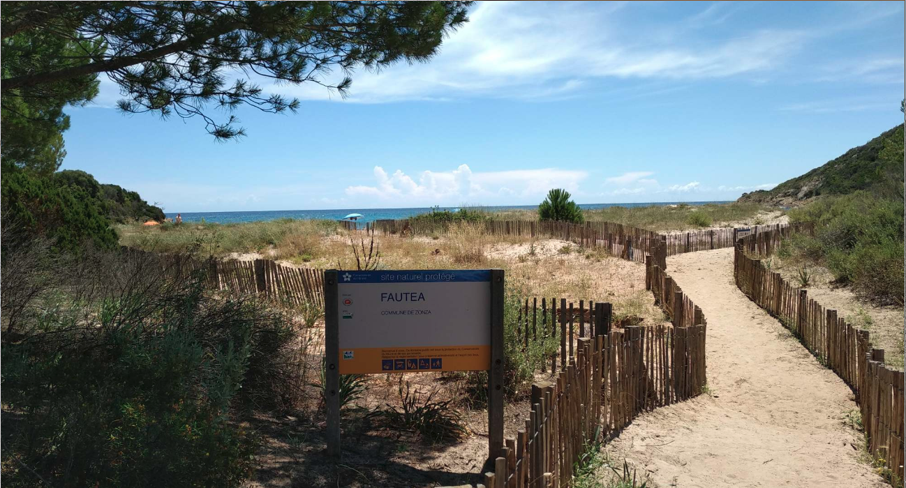 Fautea 2