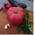 Tomate-Geante-d-orenbourg