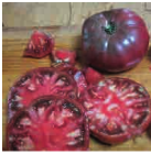 Tomate-noire-de-crimee