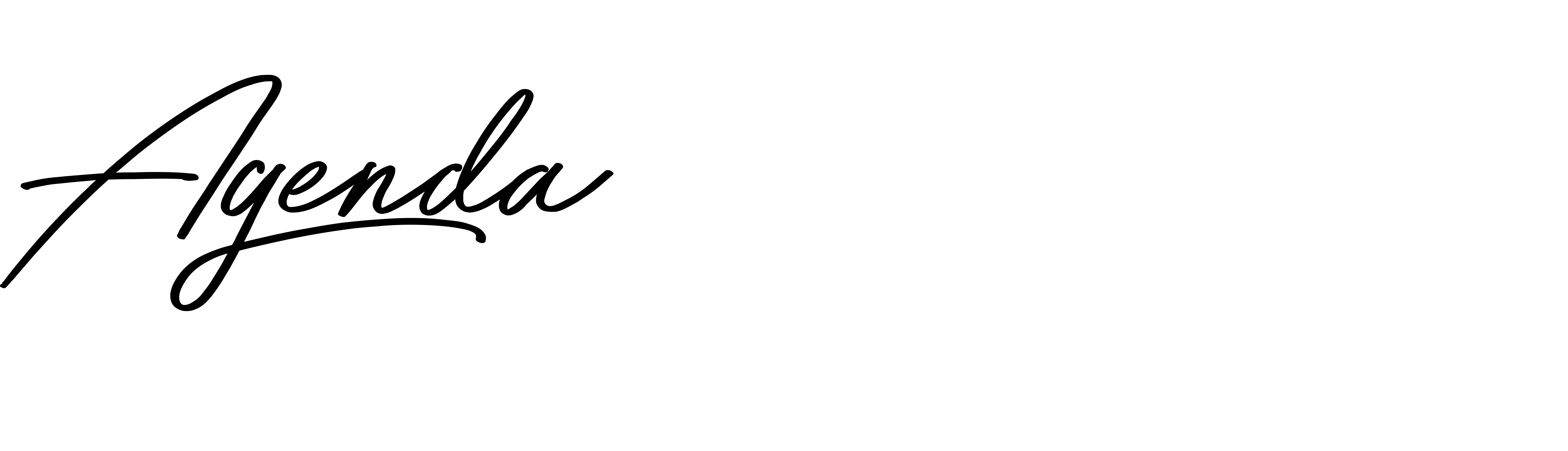 Agenda