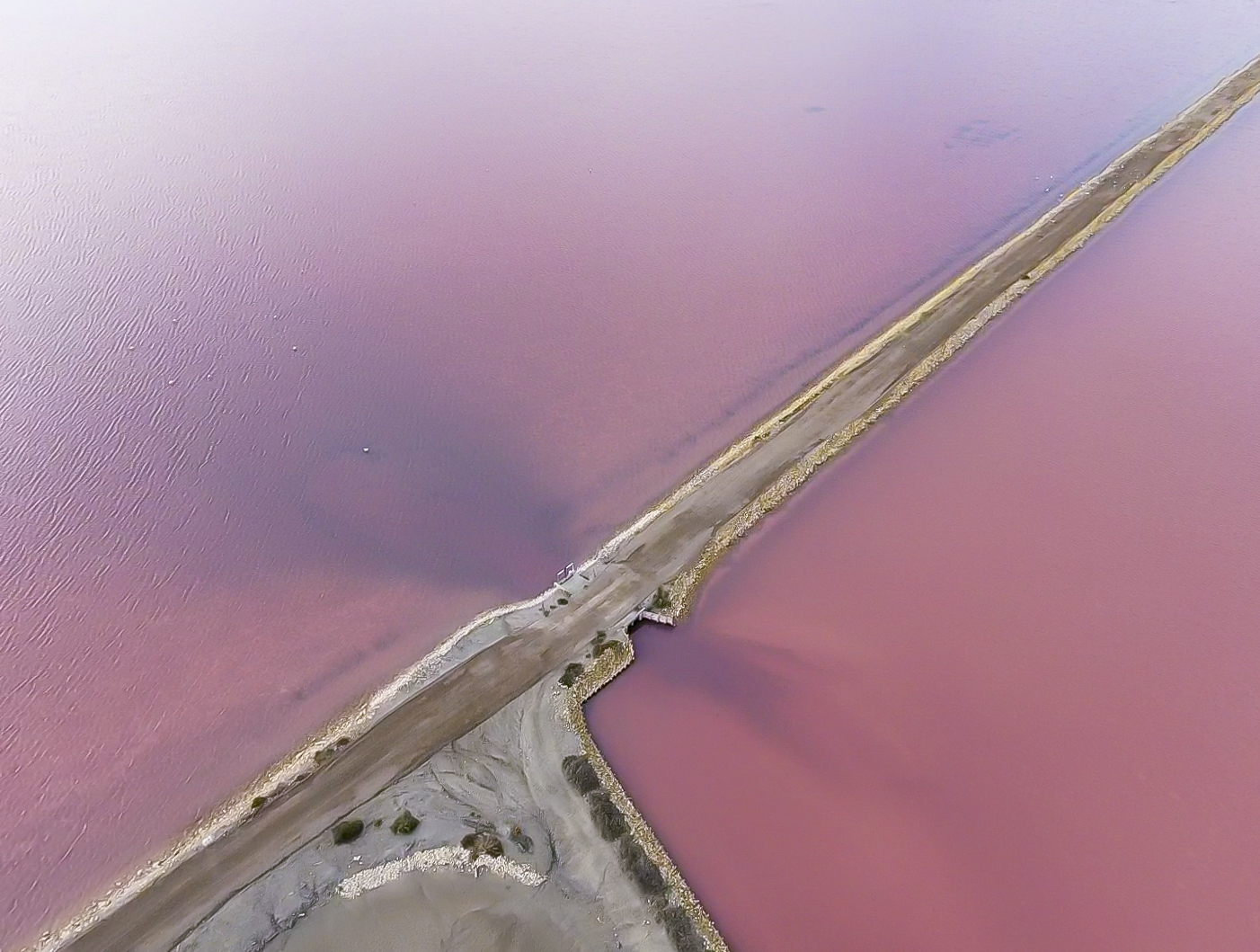 Dji1631983003465