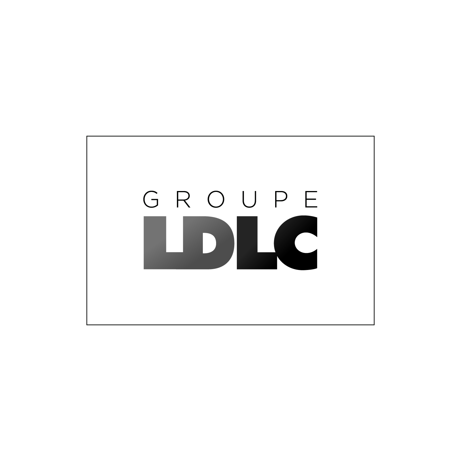 Logo-groupe-ldlc-gris