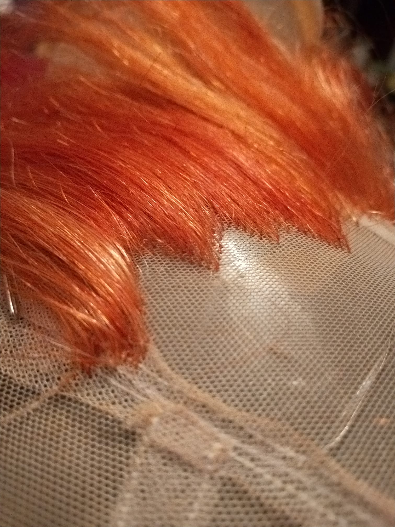 72189331 10214439407595590 3186152442643349504 n