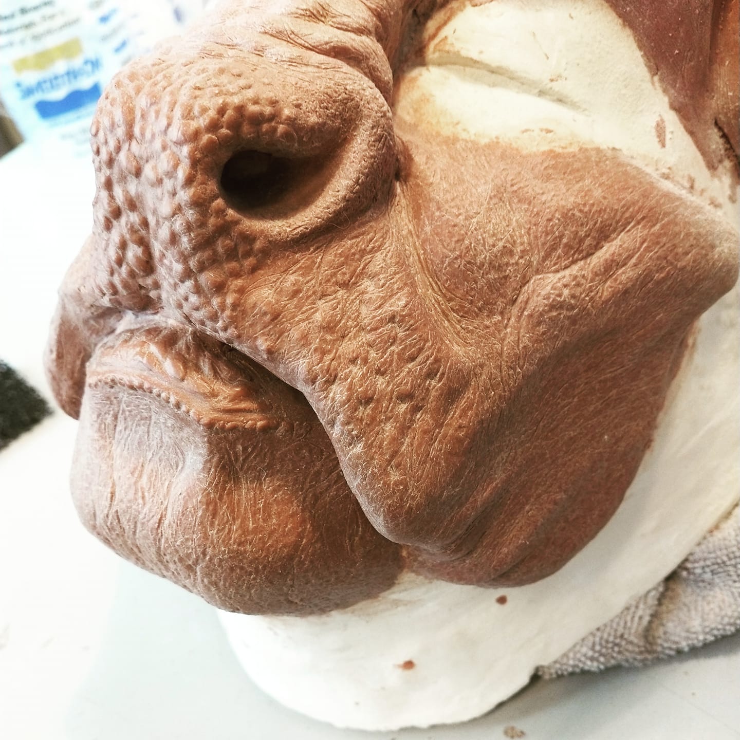 84925721 10215349200939855 76720073095512064 n