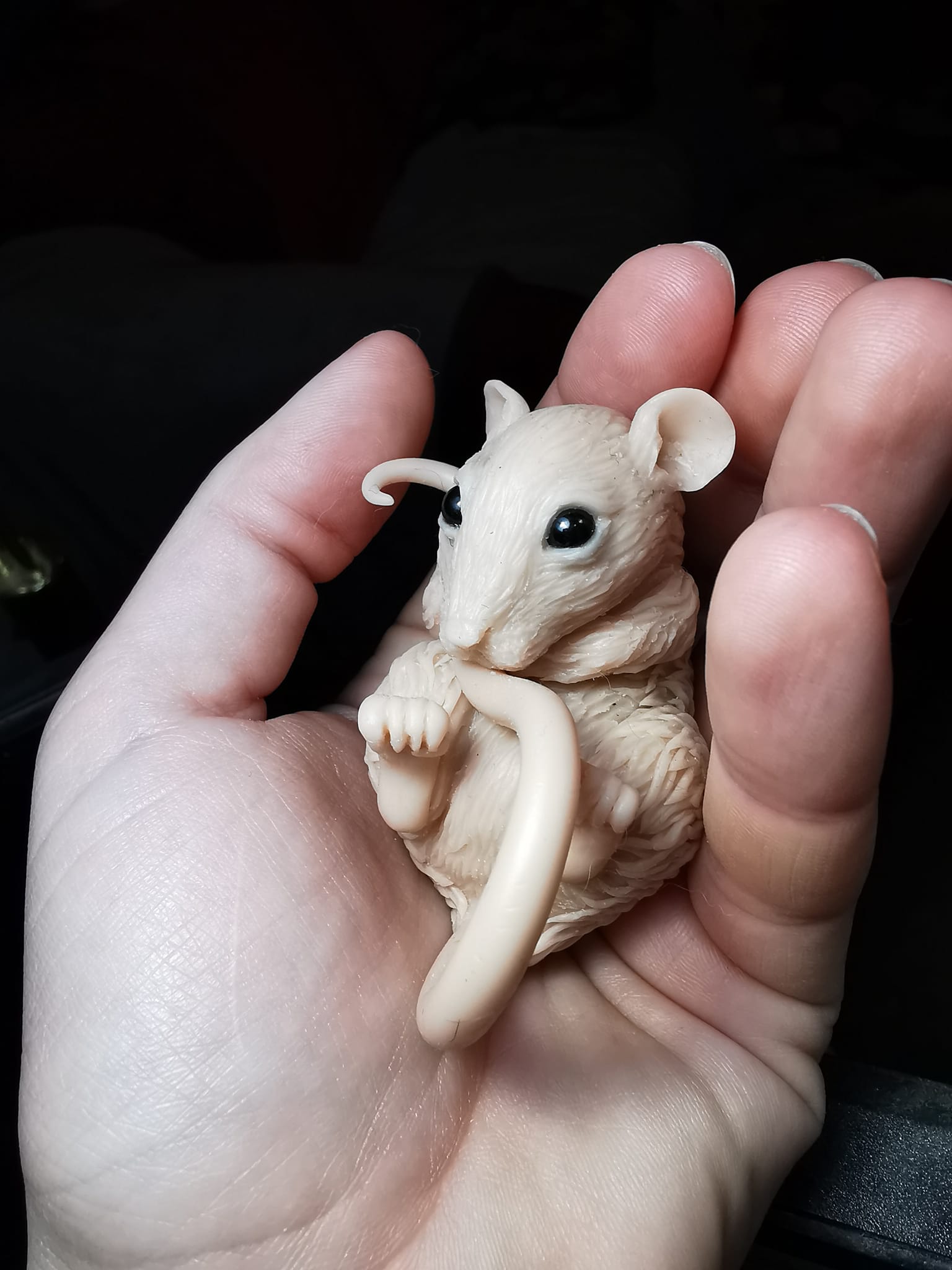 271993792 10219493283659333 4763184320801727291 n