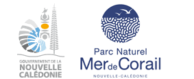 Parc-naturel-mer-Corail