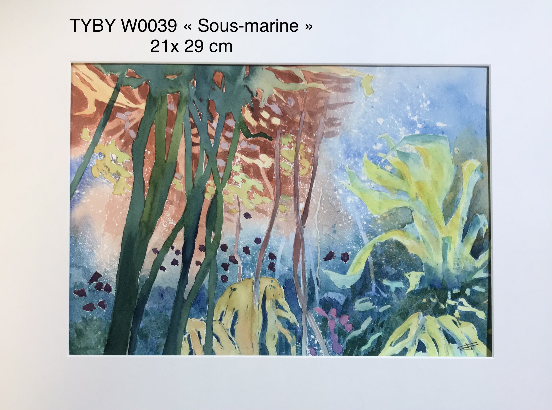 Tyby w0039