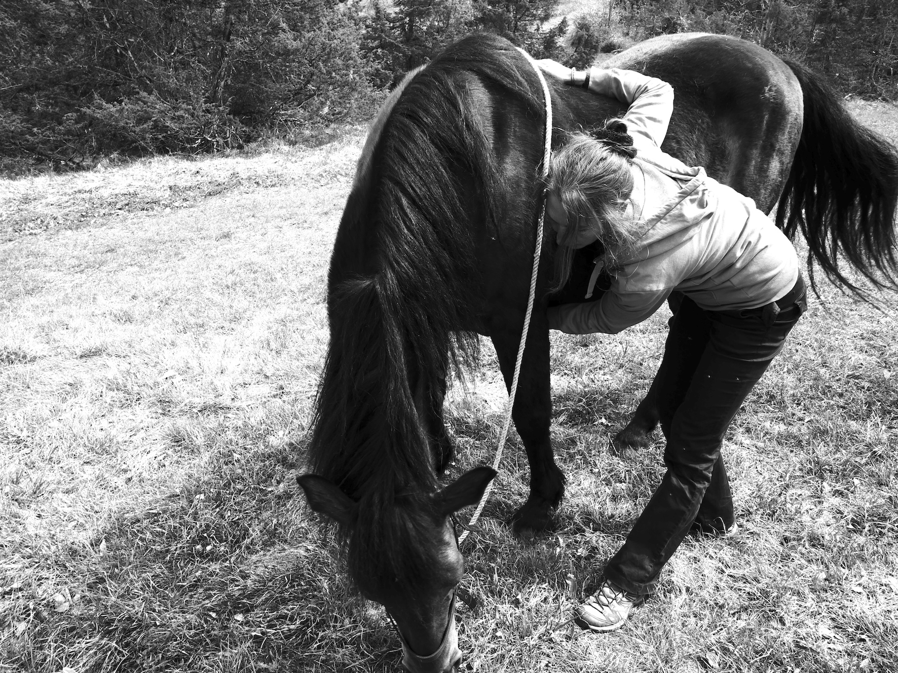 P1090584 copie