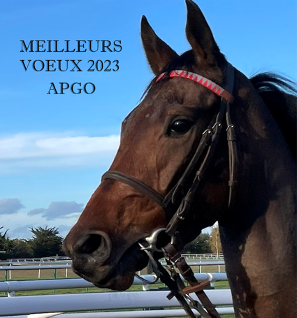 MEILLEURS VOEUX 2023