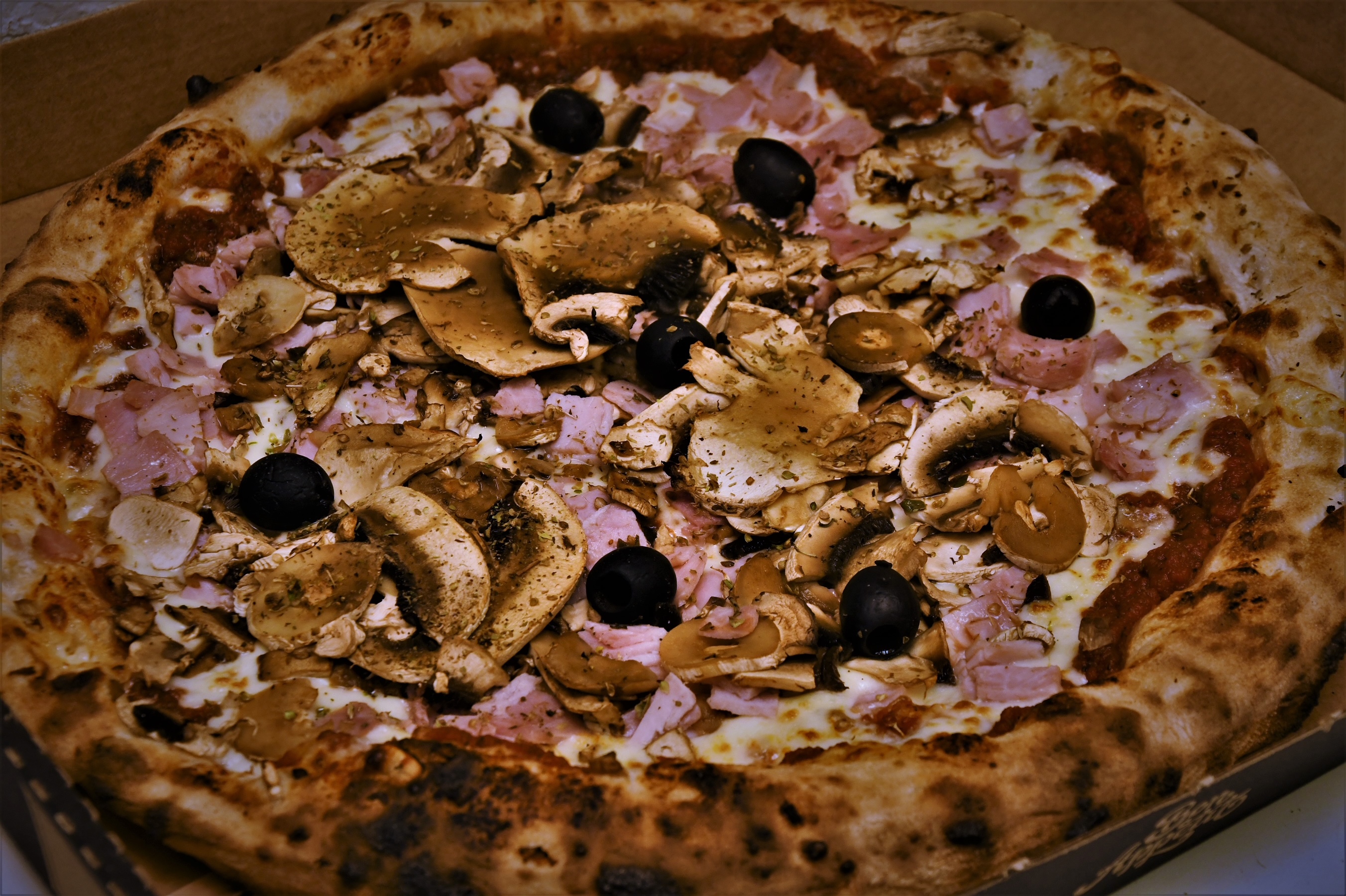 Dsc 5093