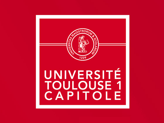A la une capitole toulouse audaicoza studio audacioza studio