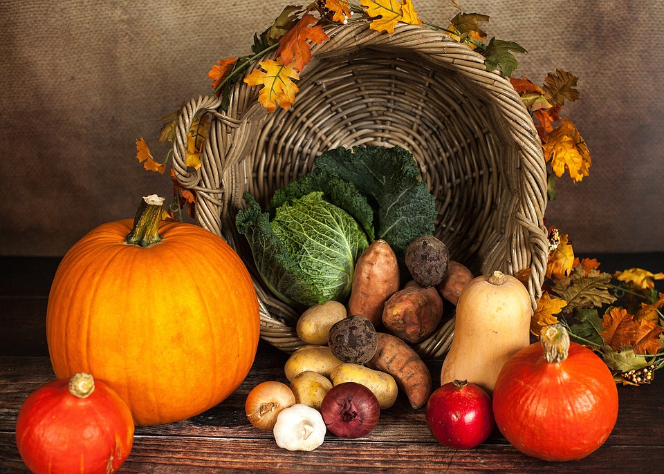 Pumpkin-1768857 960 720