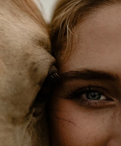 Yeux