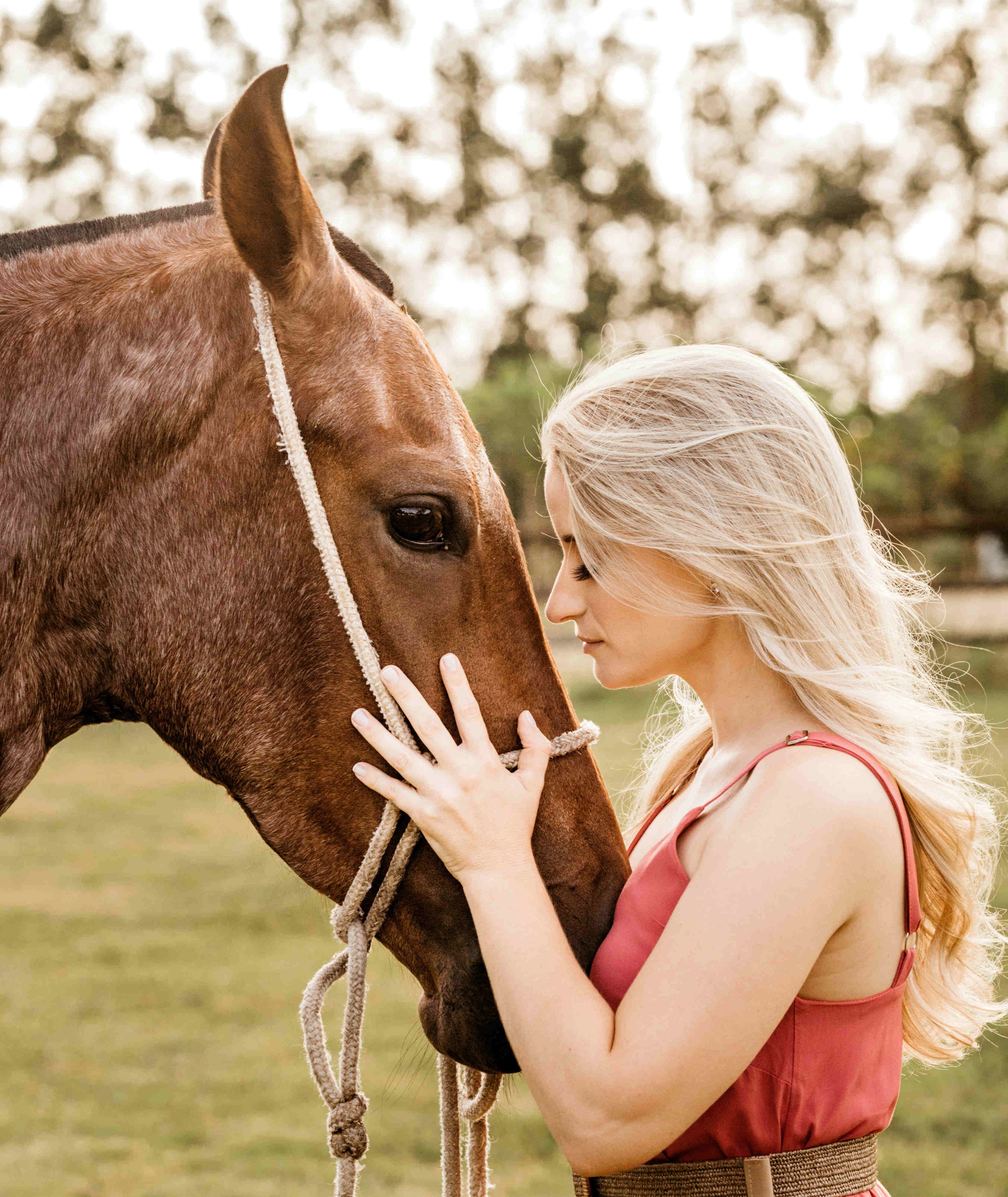 Equi-coaching-5-3