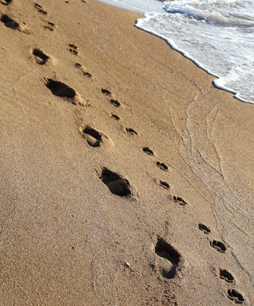 Pas-sur-le-sable