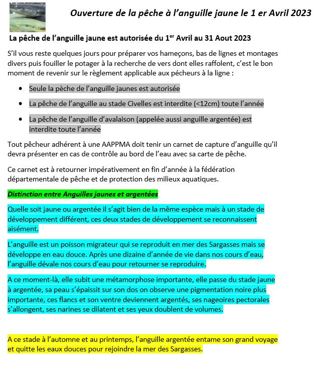 Reglement anguille